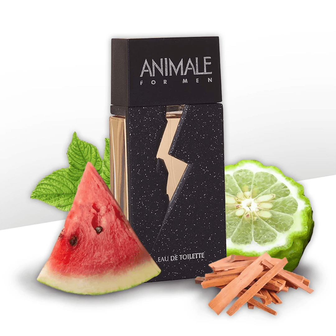 Perfume Animale For Men Masculino Eau de Toilette com 100ml